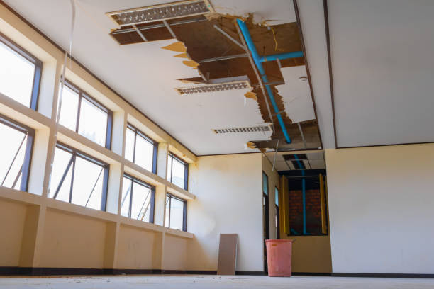 Best Water damage restoration near me  in Fort Calhoun, NE